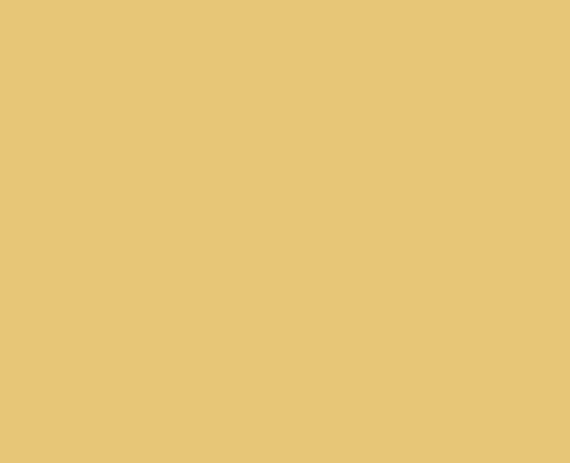 Dawn Yellow Watch "Serenity Line"