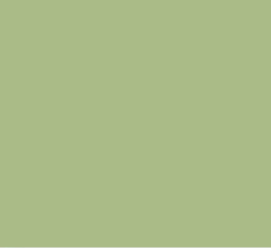 Mint Green Watch "Serenity Line"